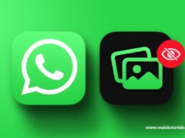 Como impedir que fotos e vídeos de conversas do WhatsApp apareçam na sua galeria / Mais Tutoriais