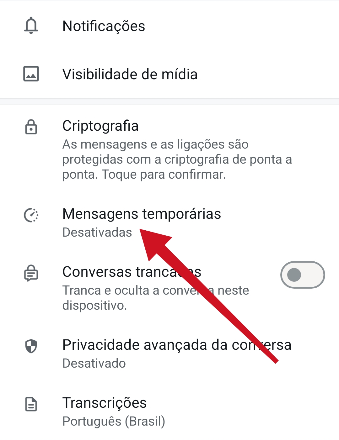 Mensagens temporárias no WhatsApp / Mais Tutoriais 