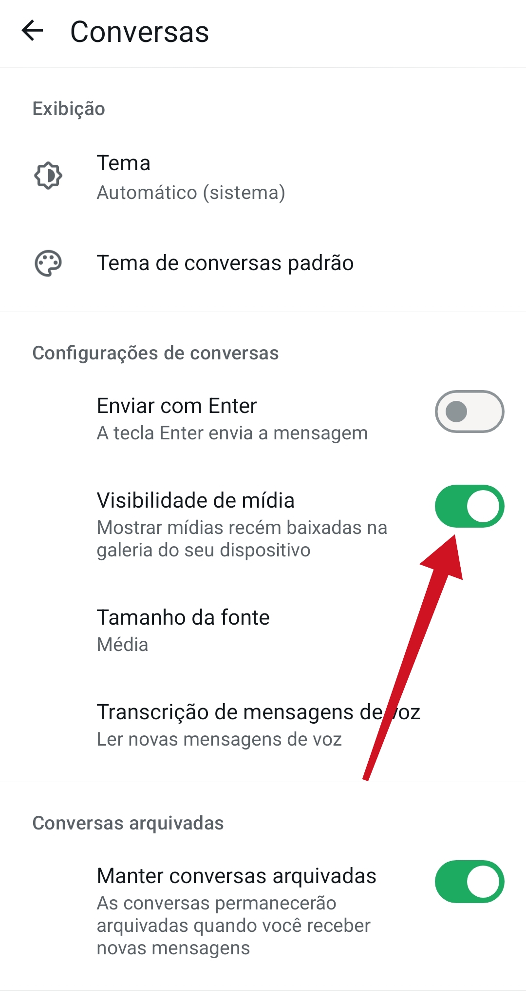 Desativar visibilidade de mídia no WhatsApp / Mais Tutoraisi