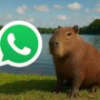 Como ativar o Modo Capivara no WhatsApp / Mais Tutoriais