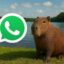 Como ativar o Modo Capivara no WhatsApp / Mais Tutoriais