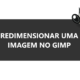 Como redimensionar uma imagem no GIMP / Mais Tutoriais