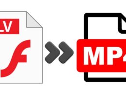 O melhor conversor gratuito de FLV para MP4 para PC com Windows / Mais Tutoriais / MAIS TUTORIAIS / Converter FLV para MP4